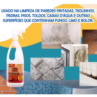 Limpa Bolor De Qualquer Superfície - Fim De Obra