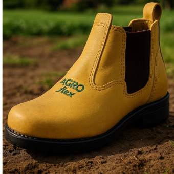 Botina Country Cor Wisk 03/400 Número 38 - Marcial